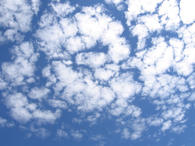 Altocumulus clouds