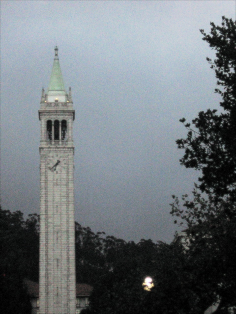 Satherturm–der Campanile—im Nebel