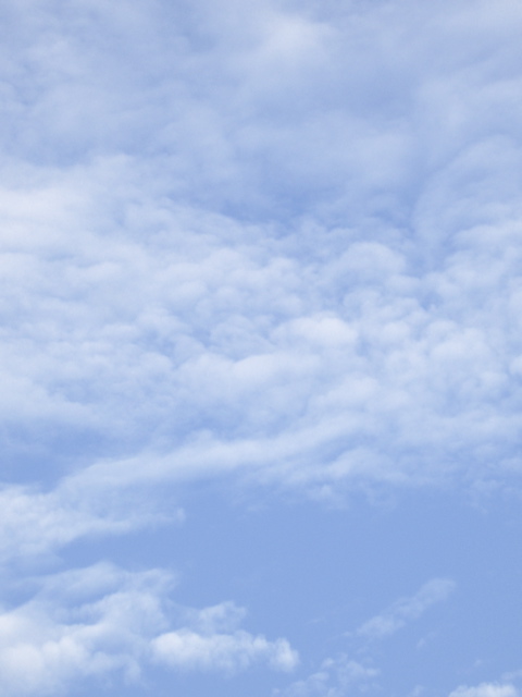 Flockige Altocumuli