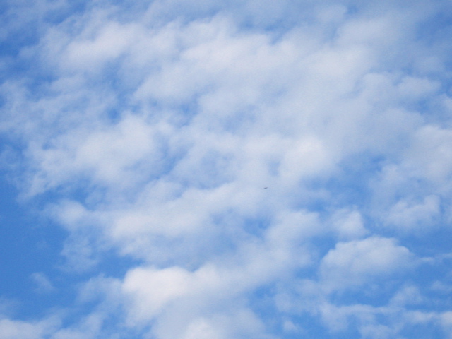 Flockige Altocumuli und ein sehr blau Himmel