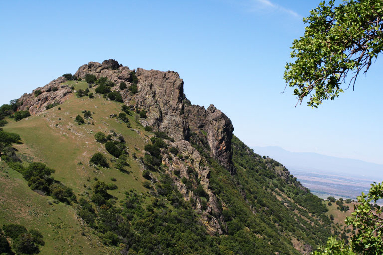 Fast an der Spitze!