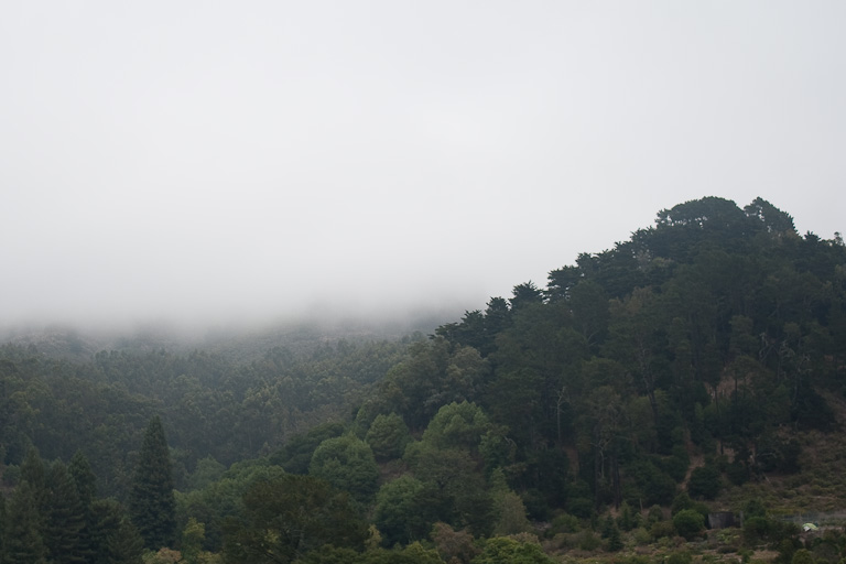 Nebel auf den Hügeln