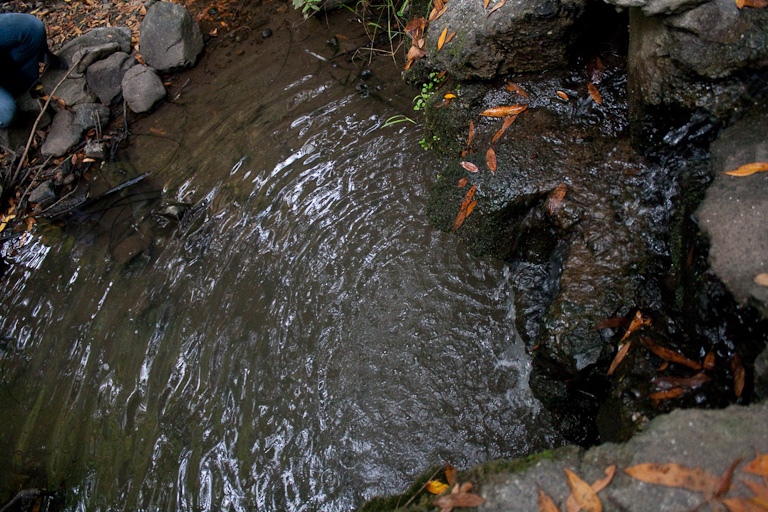 Wasser, das aus einem Düker in einen Teich fließt